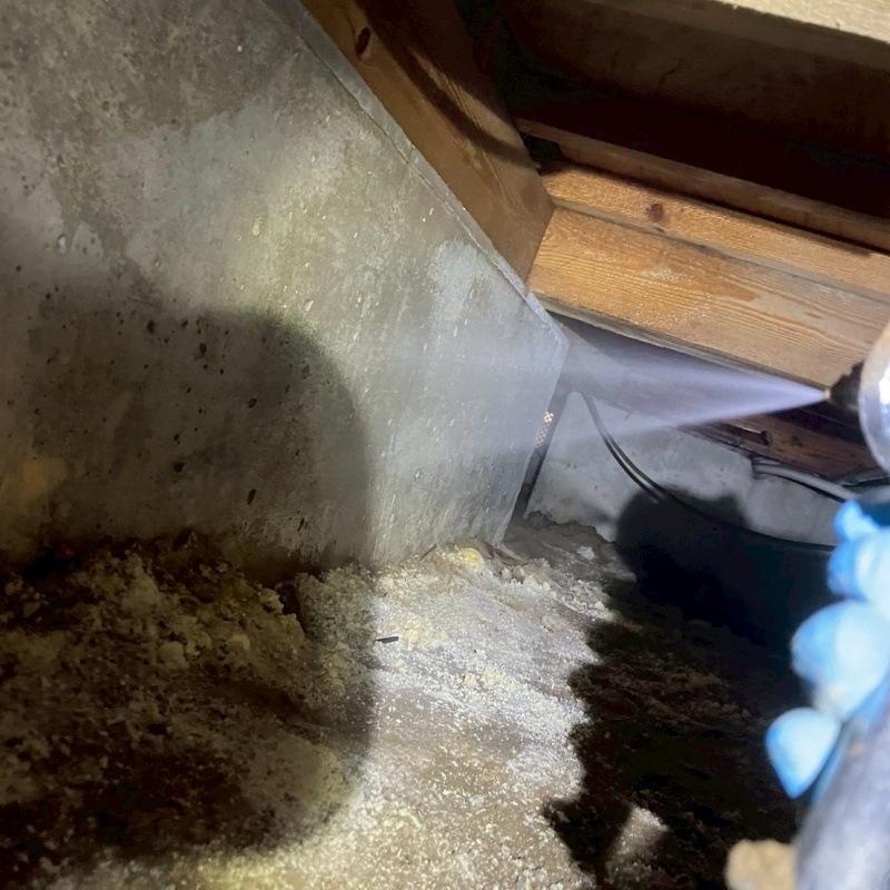 基礎にシロアリ駆除剤を散布
