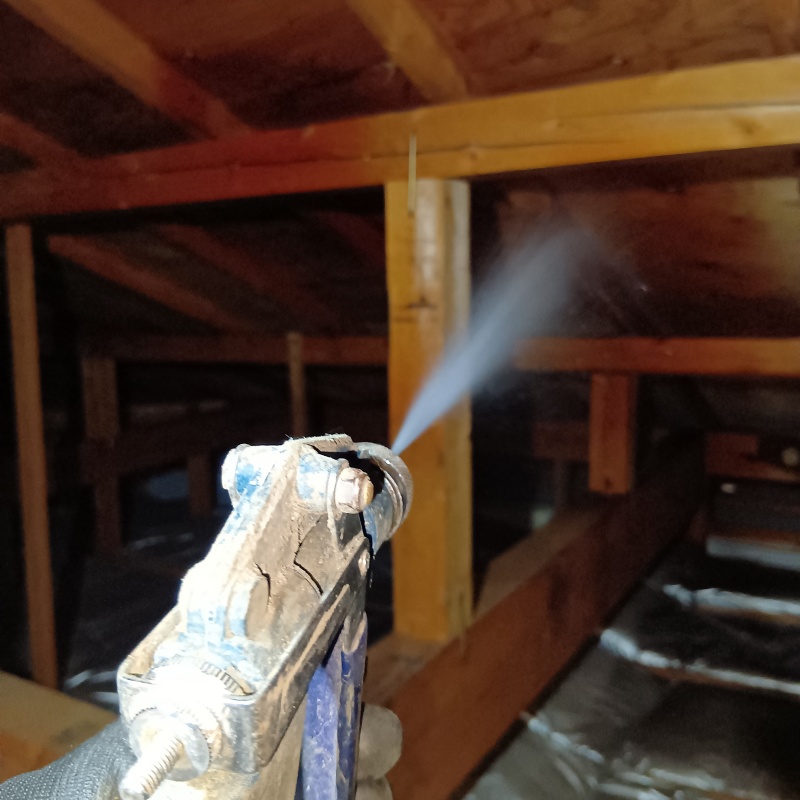 屋根裏にシロアリ駆除剤を散布