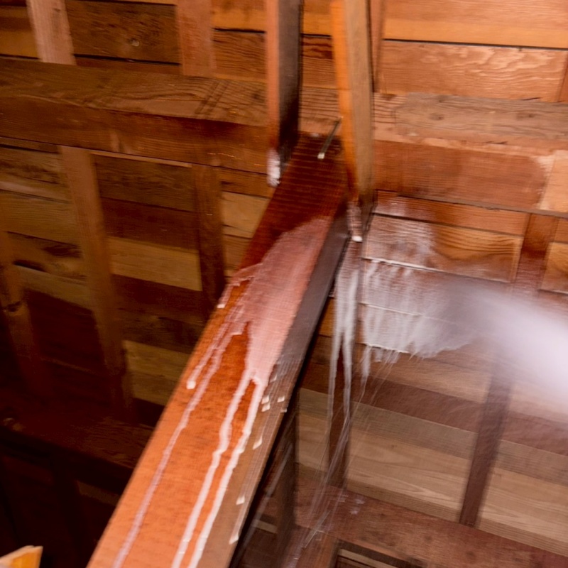 築年数30年のシロアリ駆除の施工事例（山口県宇部市）