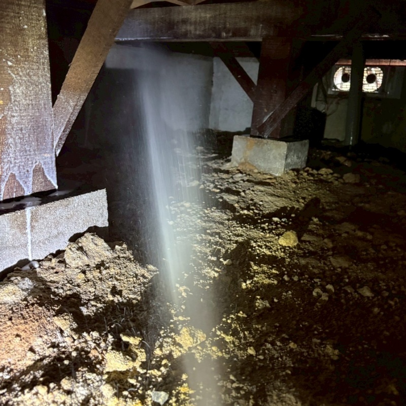 床下の木材にシロアリ駆除剤を散布