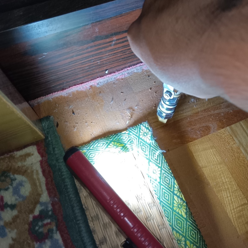 築年数47年のシロアリ駆除の施工事例（佐賀県鹿島市中村）