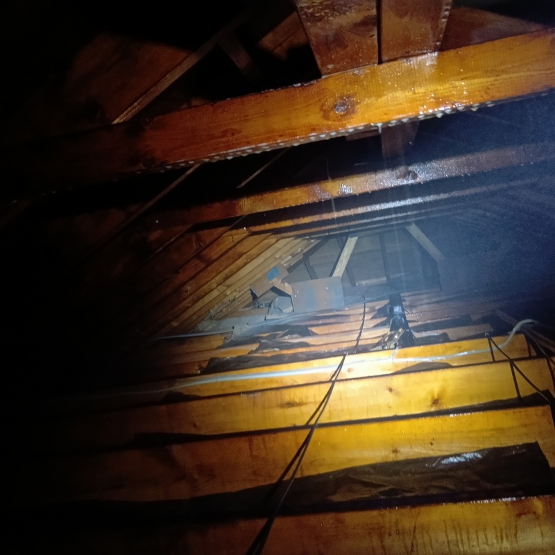 屋根裏にシロアリ駆除剤を散布したあと