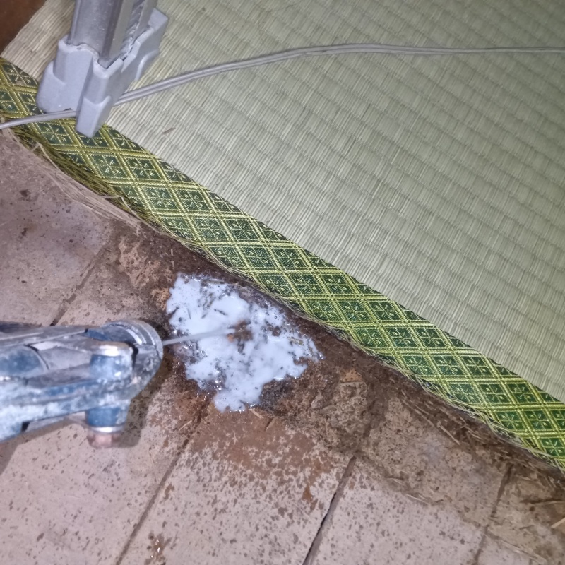 畳下の床にシロアリ駆除剤を散布