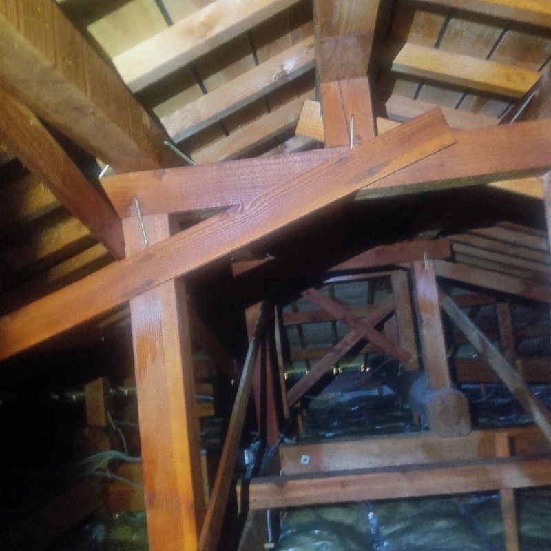 屋根裏にシロアリ駆除剤を散布したあと