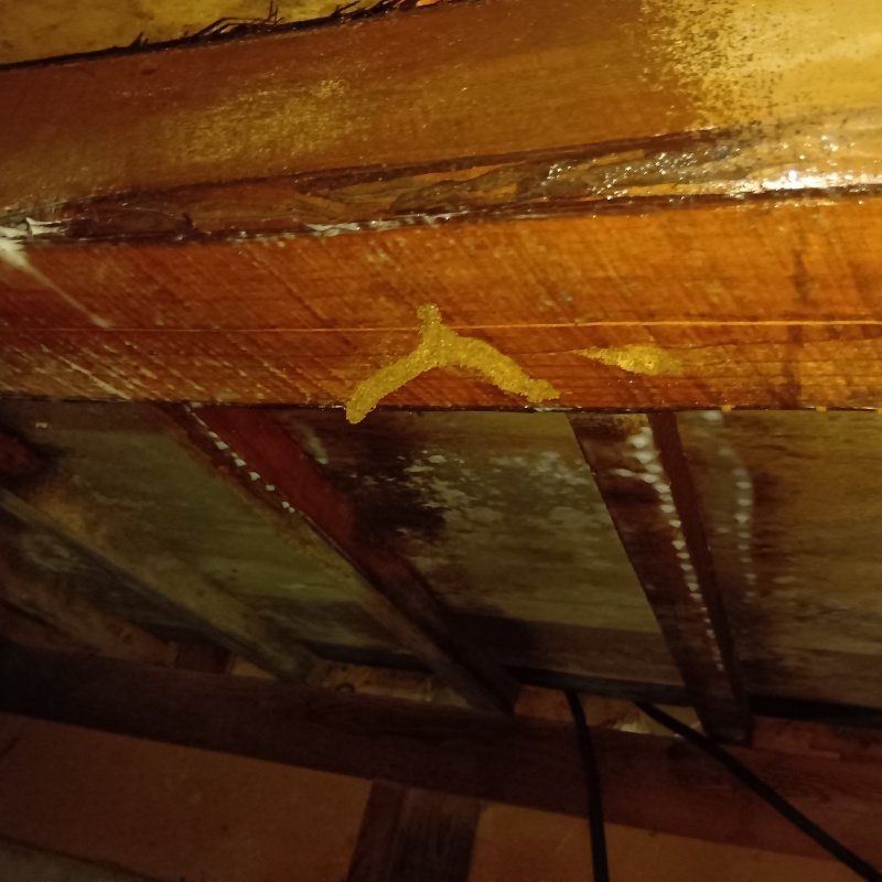 シロアリ駆除の施工事例（福岡県北九州市八幡東区上本町）