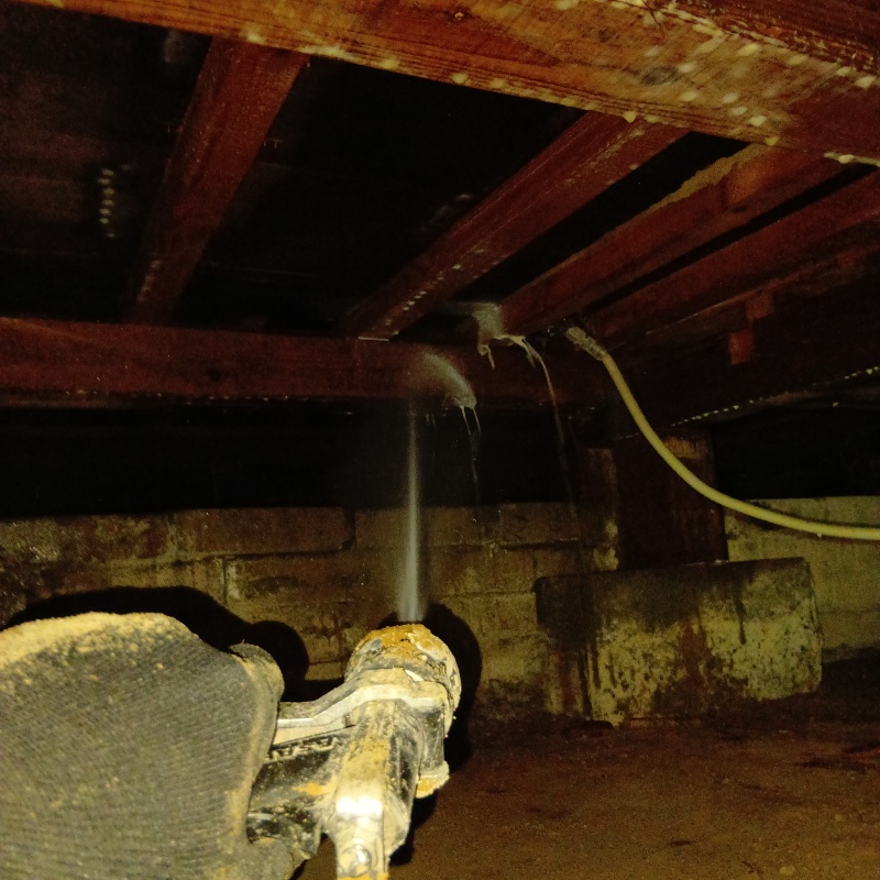 床下の木材にシロアリ駆除剤を散布