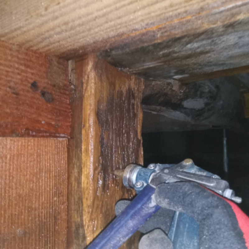 床下の木材にシロアリ駆除剤を散布