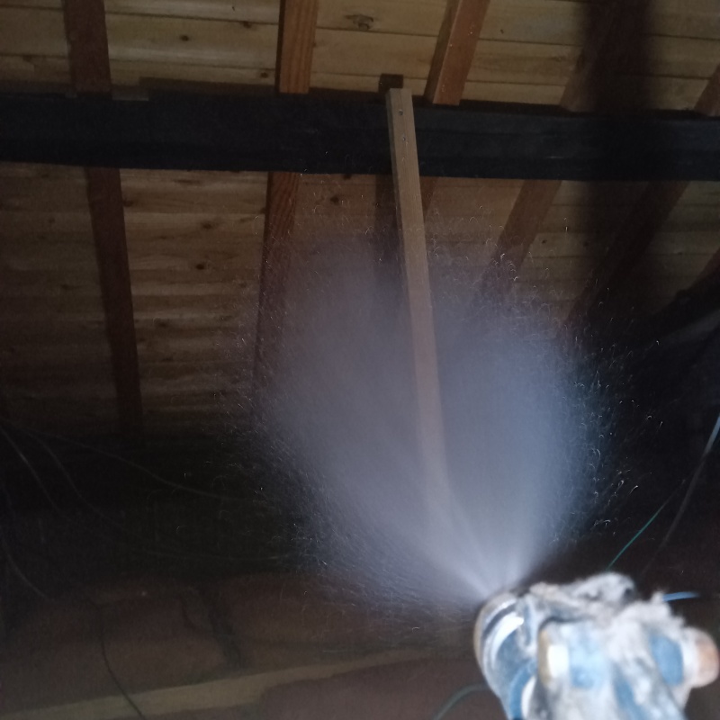 屋根裏にシロアリ駆除剤を散布