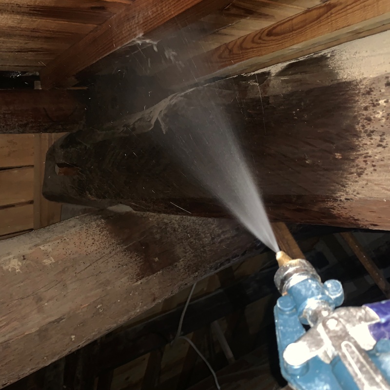 築年数80年のシロアリ駆除の施工事例（熊本県菊池市泗水町豊水）