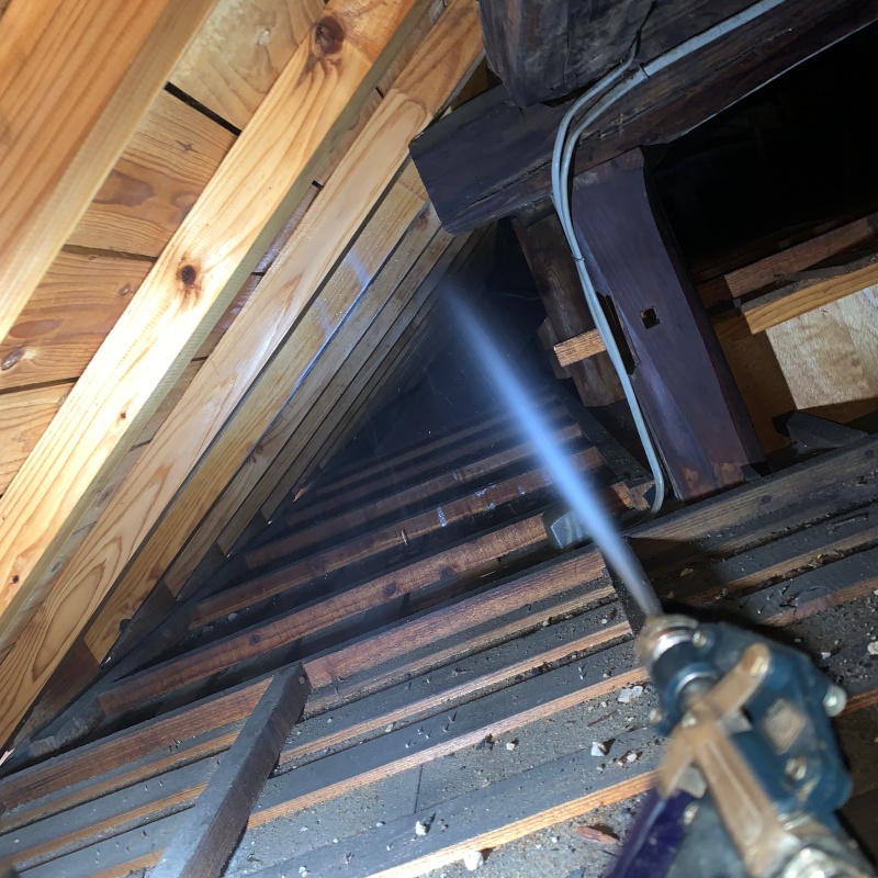 屋根裏にシロアリ駆除剤を散布