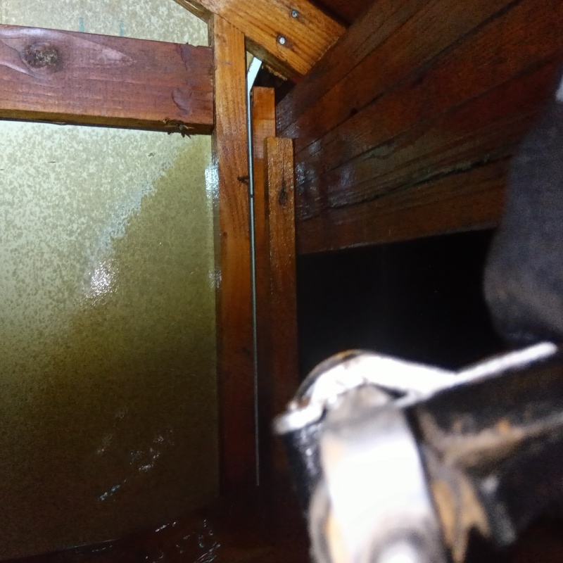 屋根裏にシロアリ駆除剤を散布