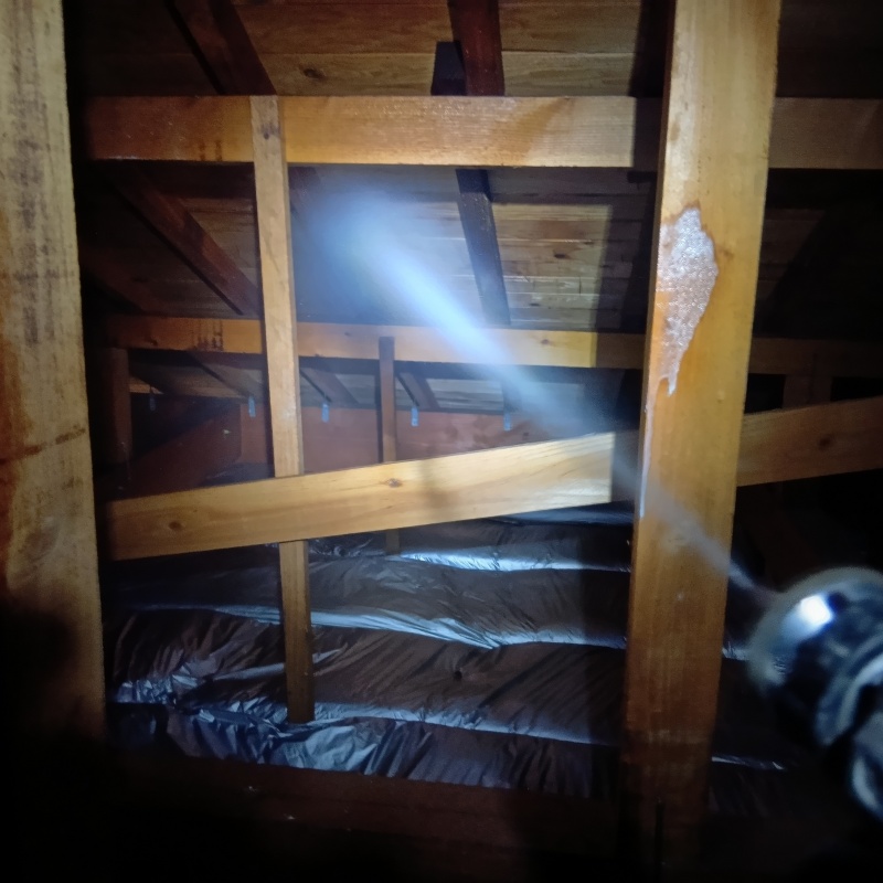 屋根裏にシロアリ駆除剤を散布