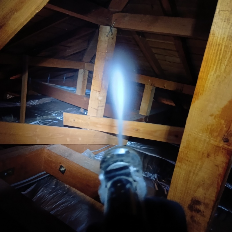 屋根裏にシロアリ駆除剤を散布