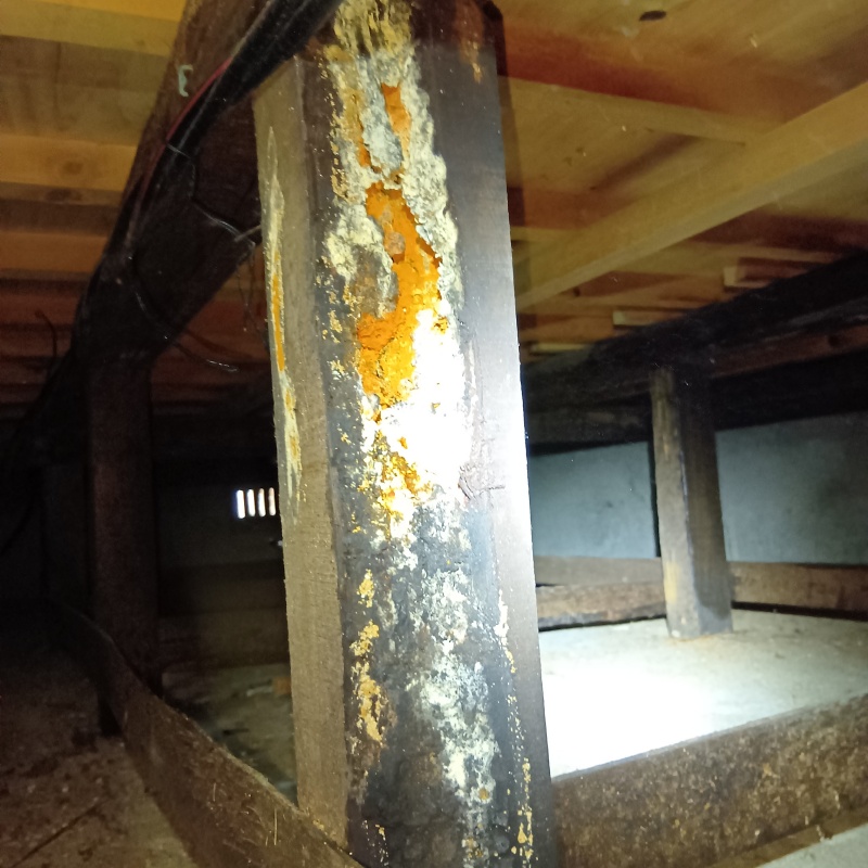 築年数45年のシロアリ駆除の施工事例（福岡県北九州市八幡東区西丸山町）