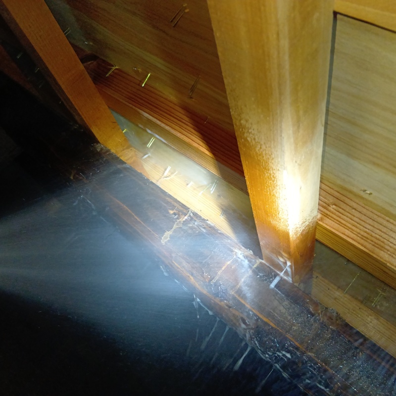 床下の木材にシロアリ駆除剤を散布