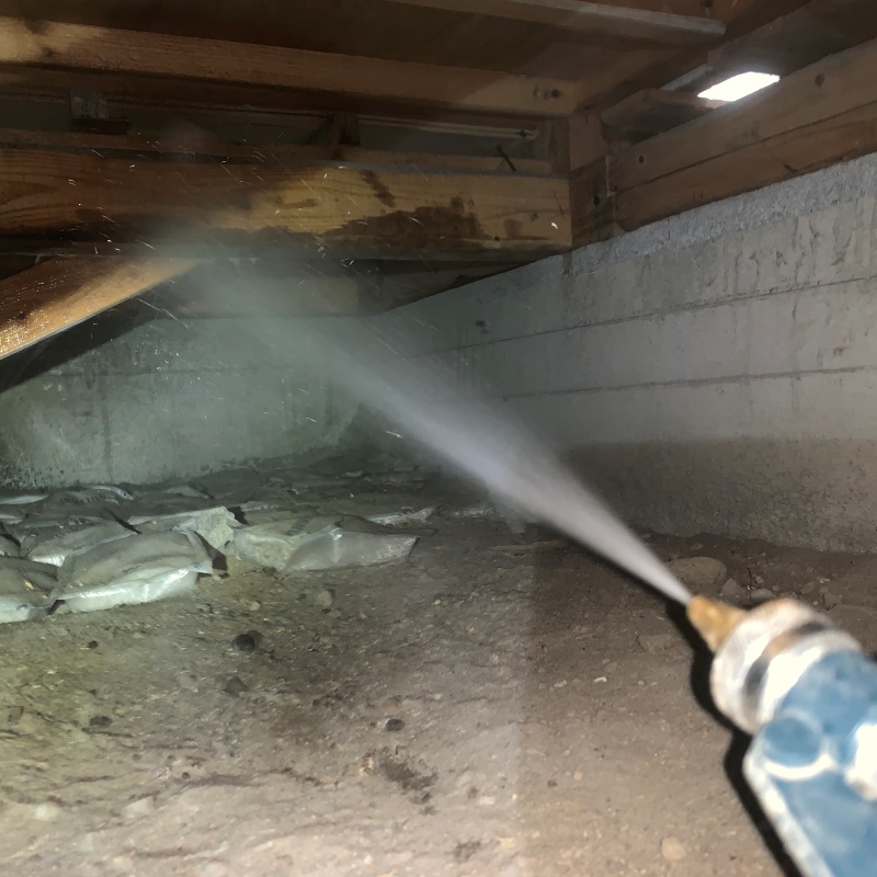 床下の木材にシロアリ駆除剤を散布