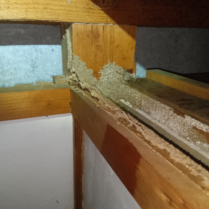 築年数40年のシロアリ駆除の施工事例（長崎県長崎市柳谷町）