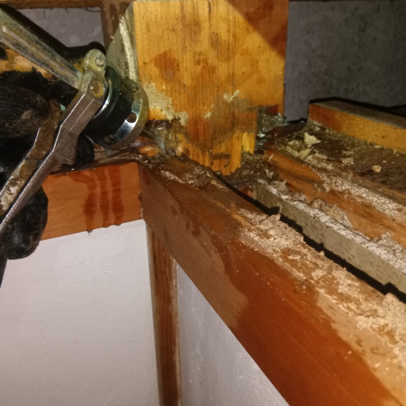 床下の木材にシロアリ駆除剤を散布