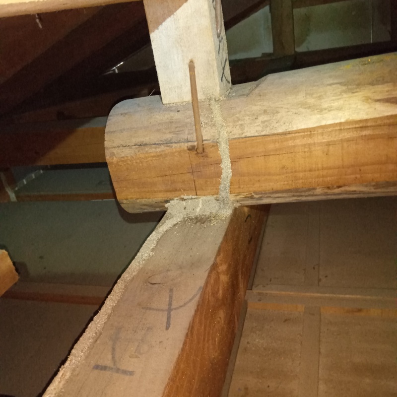 屋根裏の梁に作られたシロアリの蟻道