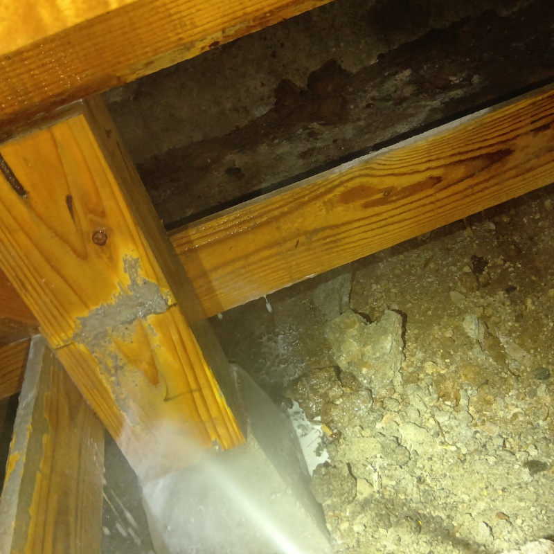 築年数48年のシロアリ駆除の施工事例（長崎県長崎市上戸町）