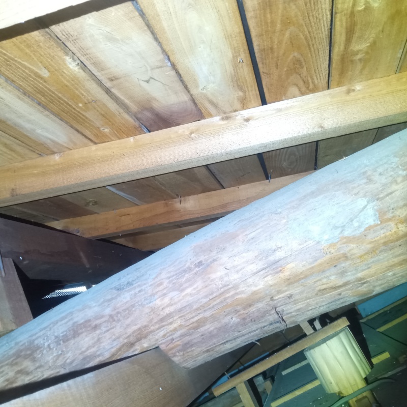 築年数50年のシロアリ駆除の施工事例（広島県広島市東区牛田東）