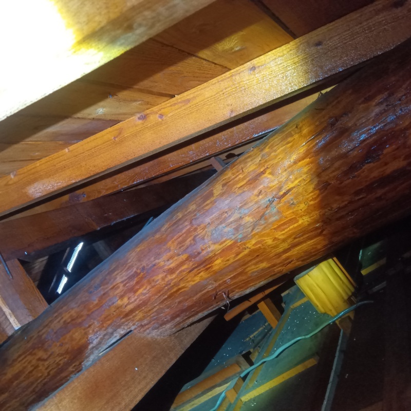 屋根裏にシロアリ駆除剤を散布したあと