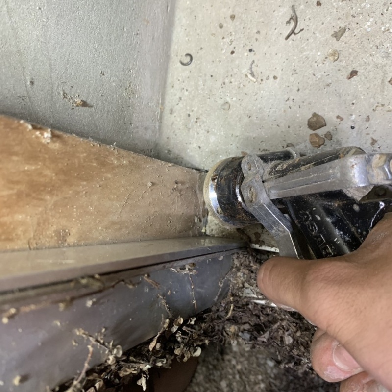 傷んだ木部にシロアリ駆除剤を注入