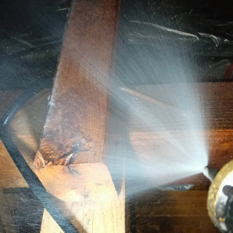 屋根裏にシロアリ駆除剤を散布