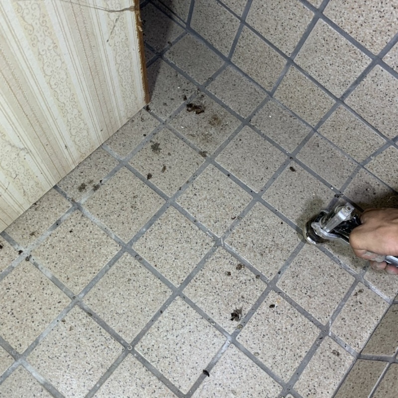 床にシロアリ駆除剤を注入