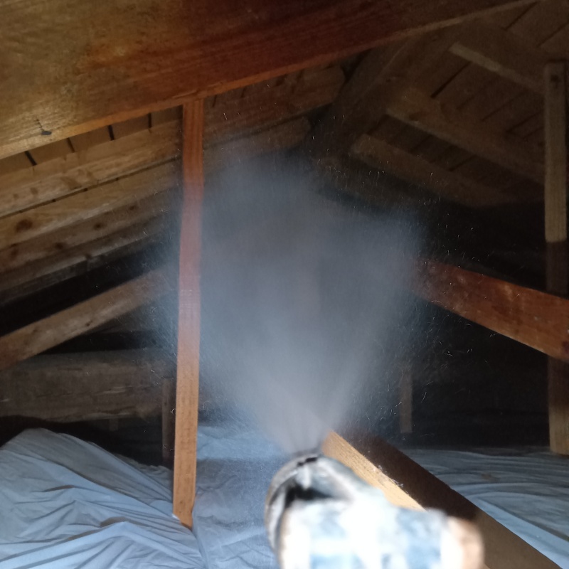屋根裏にシロアリ駆除剤を散布