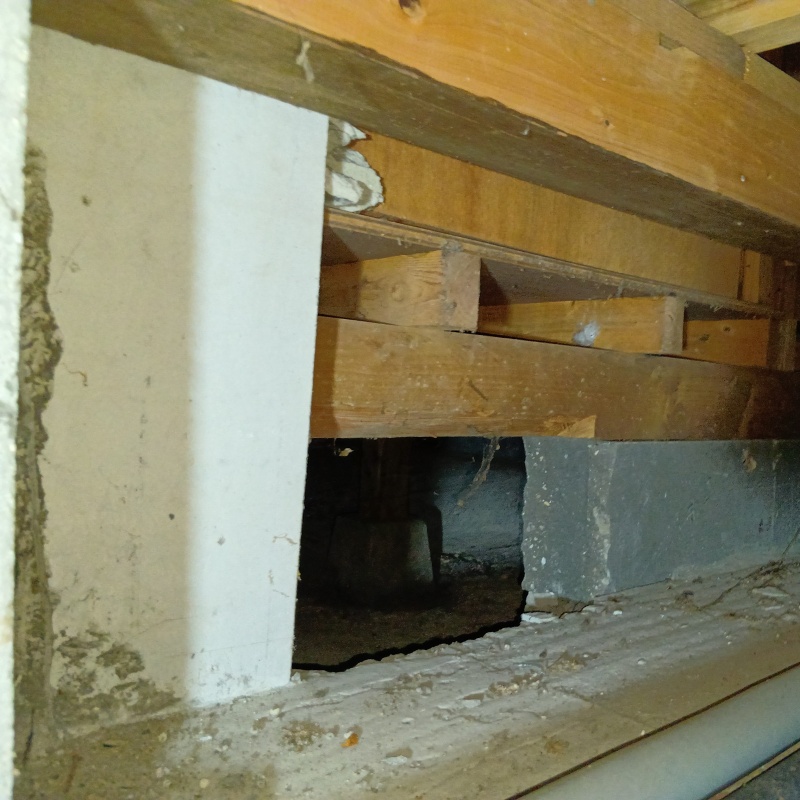 シロアリ駆除の施工事例（熊本県八代郡氷川町野津）
