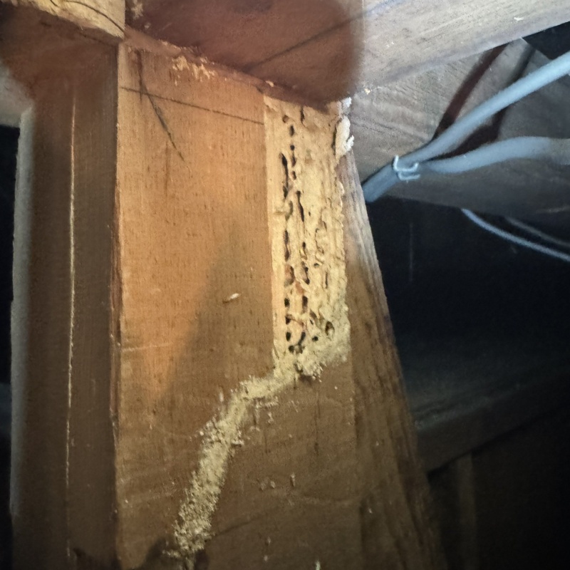 シロアリ駆除の施工事例（福岡県福岡市博多区空港前）