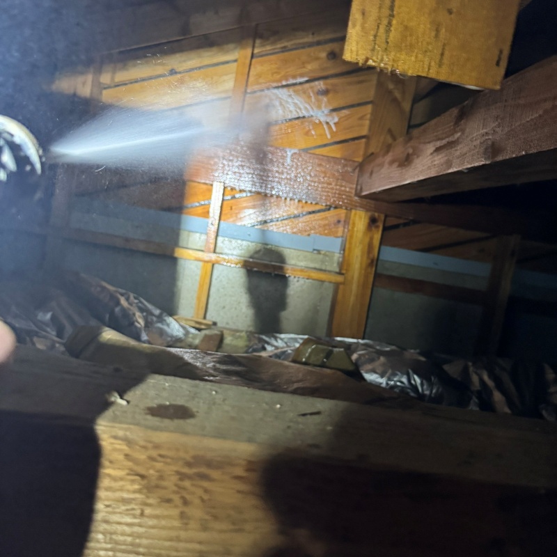 屋根裏にシロアリ駆除剤を散布