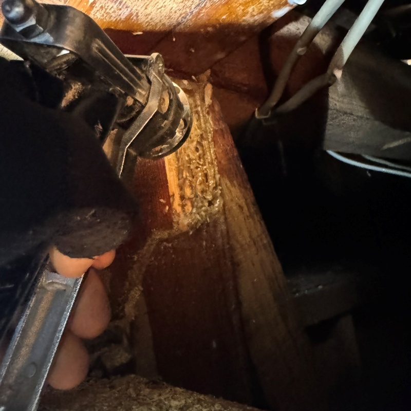 床下の地面にシロアリ駆除剤を散布