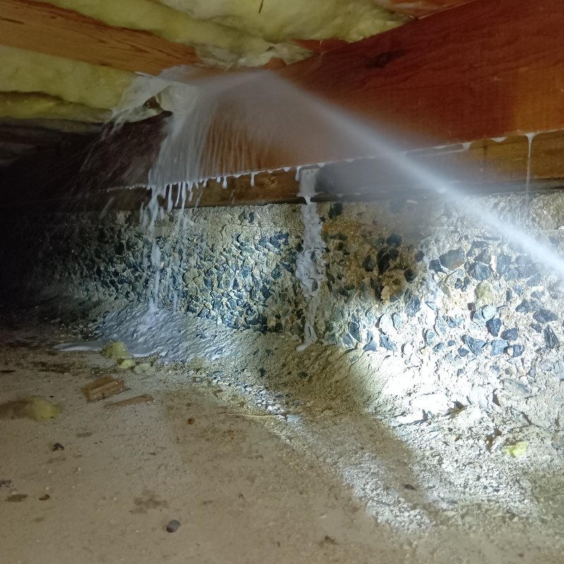 床下の木材にシロアリ駆除剤を散布