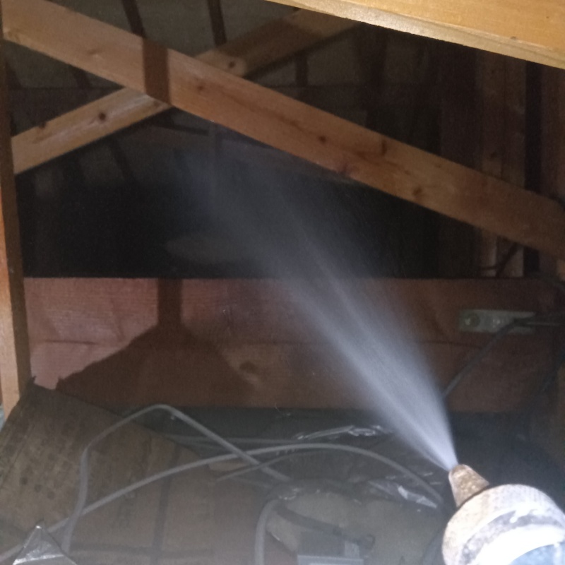 屋根裏にシロアリ駆除剤を散布