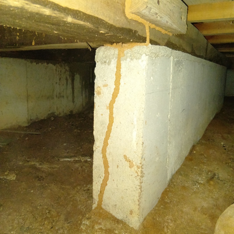 築年数42年のシロアリ駆除の施工事例（熊本県荒尾市平山）