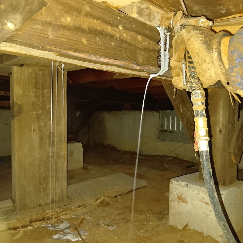 傷んだ木部にシロアリ駆除剤を注入