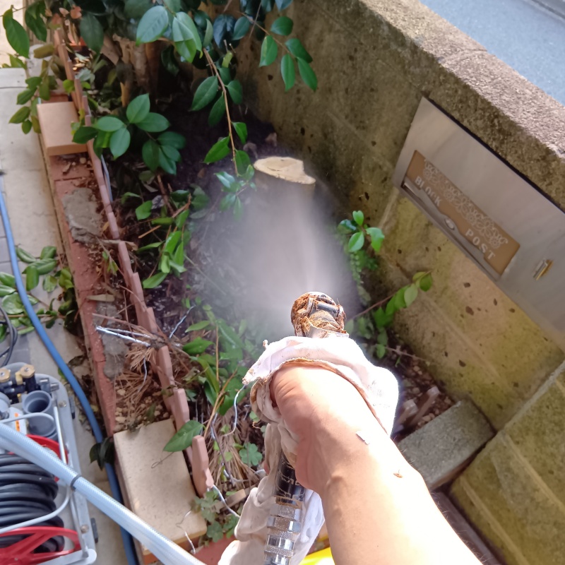 庭木にシロアリ駆除剤を散布