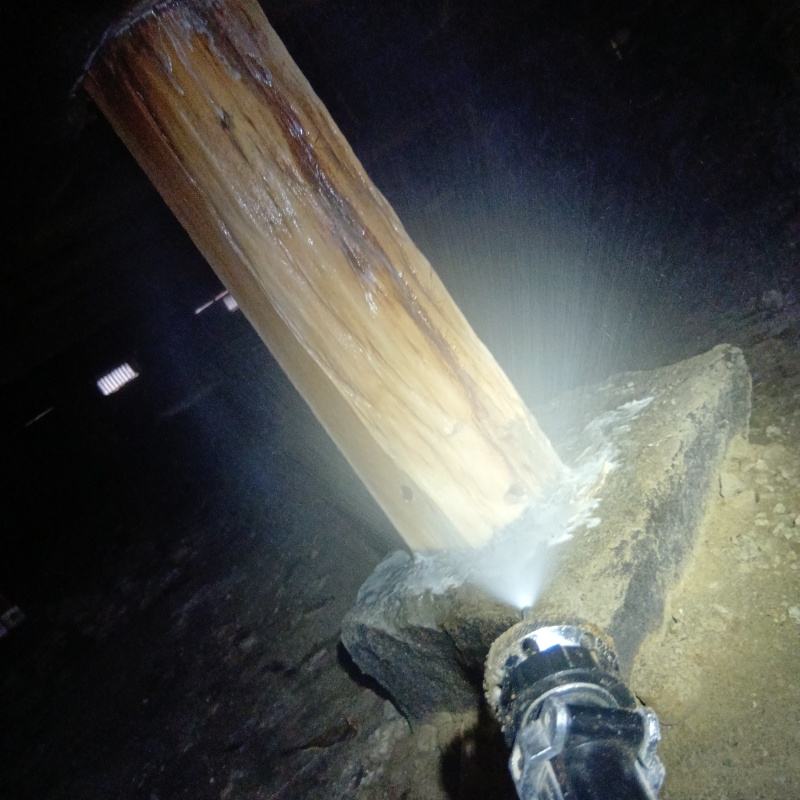 束石まわりにシロアリ駆除剤を散布