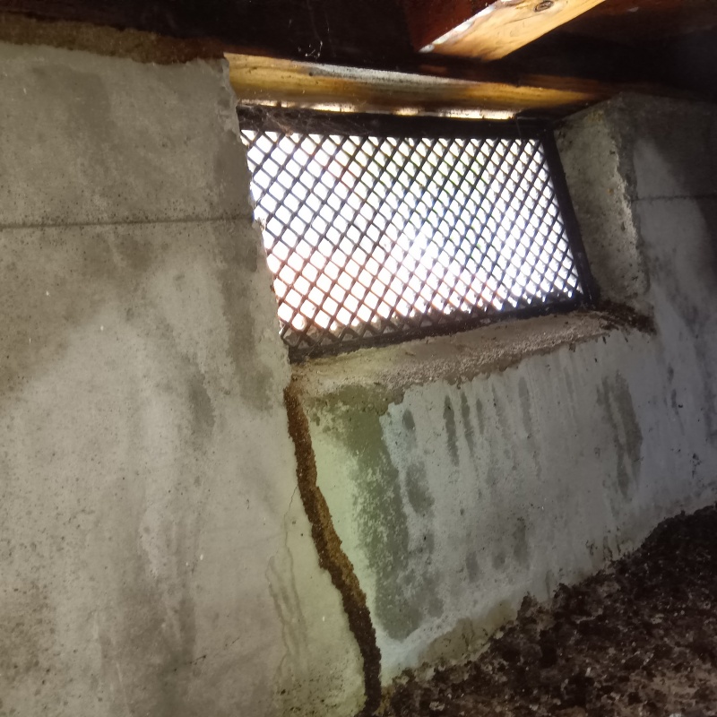 シロアリ駆除の施工事例（大阪府阪南市箱作）