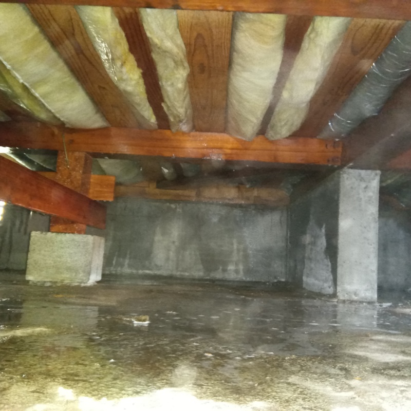 土壌処理が完了した様子