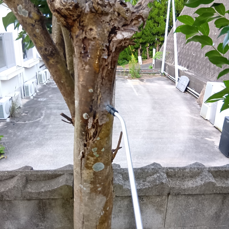 築年数40年のシロアリ駆除の施工事例（福岡県飯塚市有井）