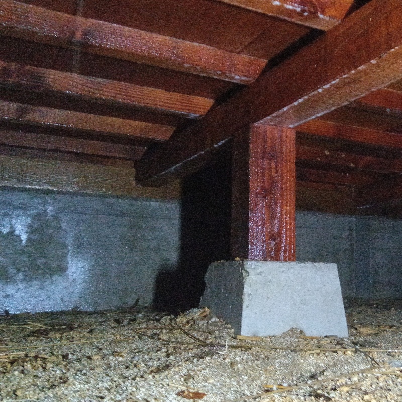 土壌処理が完了した様子