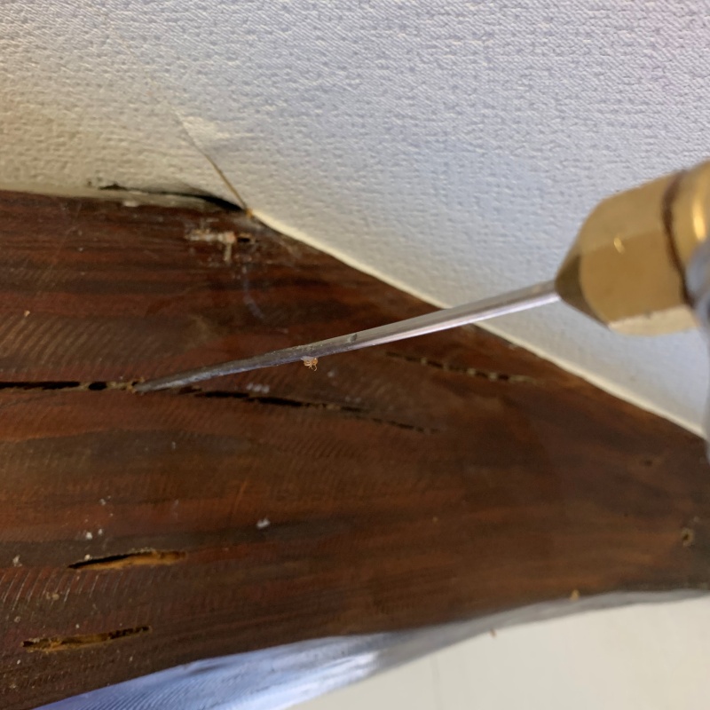 築年数17年のシロアリ駆除の施工事例（鹿児島県指宿市新西方）