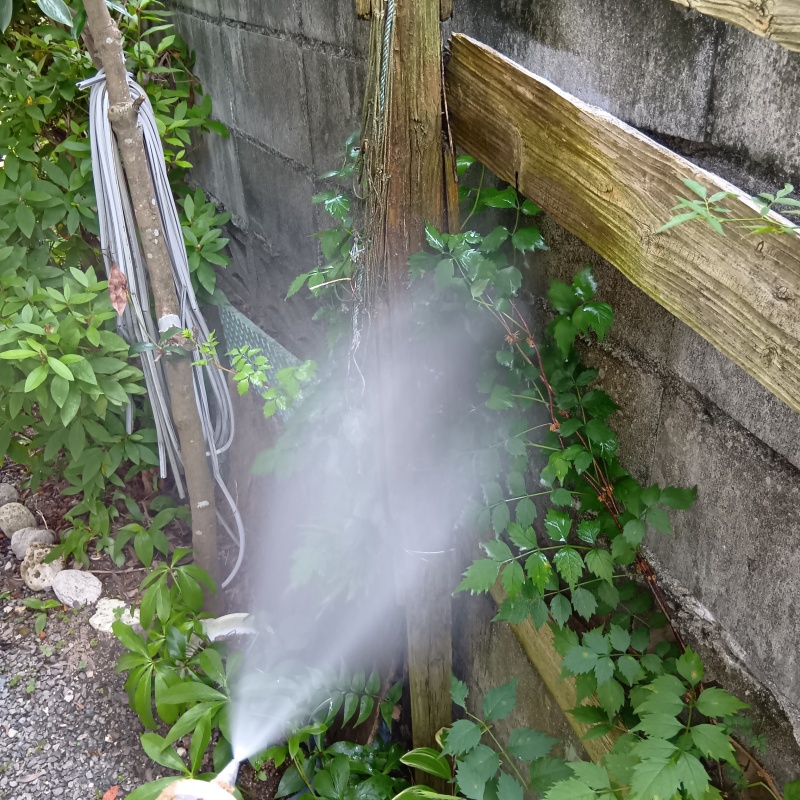 築年数45年のシロアリ駆除の施工事例（熊本県玉名市）