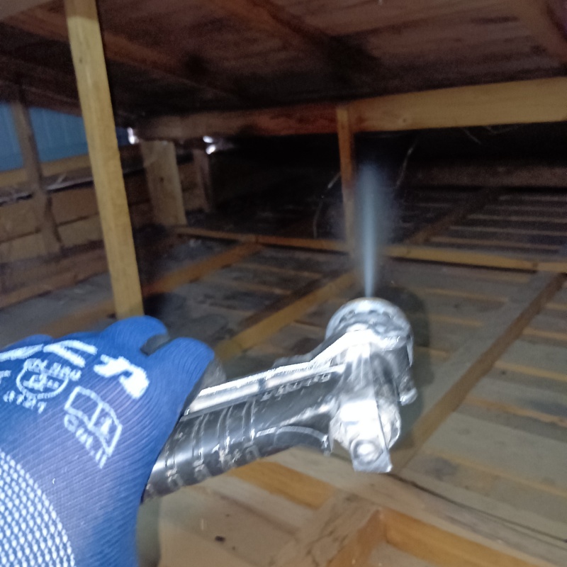 屋根裏にシロアリ駆除剤を散布