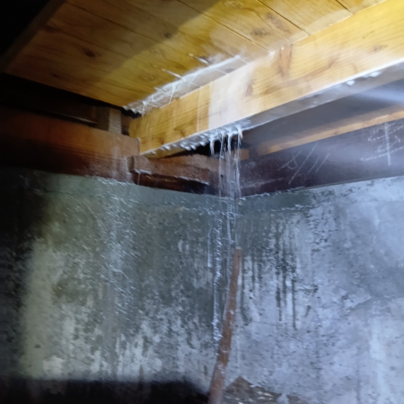 築年数40年のシロアリ駆除の施工事例（高知県高知市井口町）