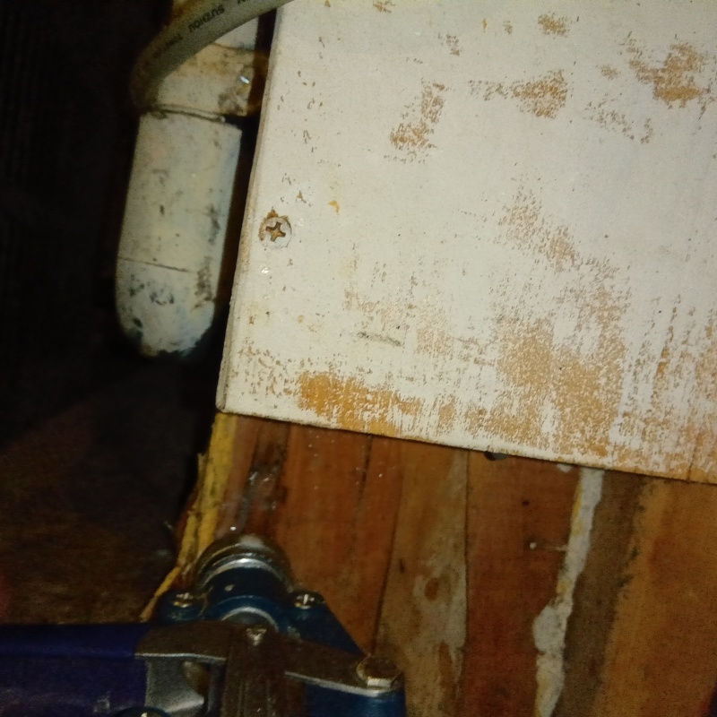 傷んだ木部にシロアリ駆除剤を注入