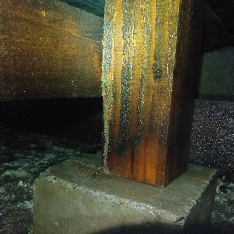 築年数37 年のシロアリ駆除の施工事例（福島県会津若松市飯盛）